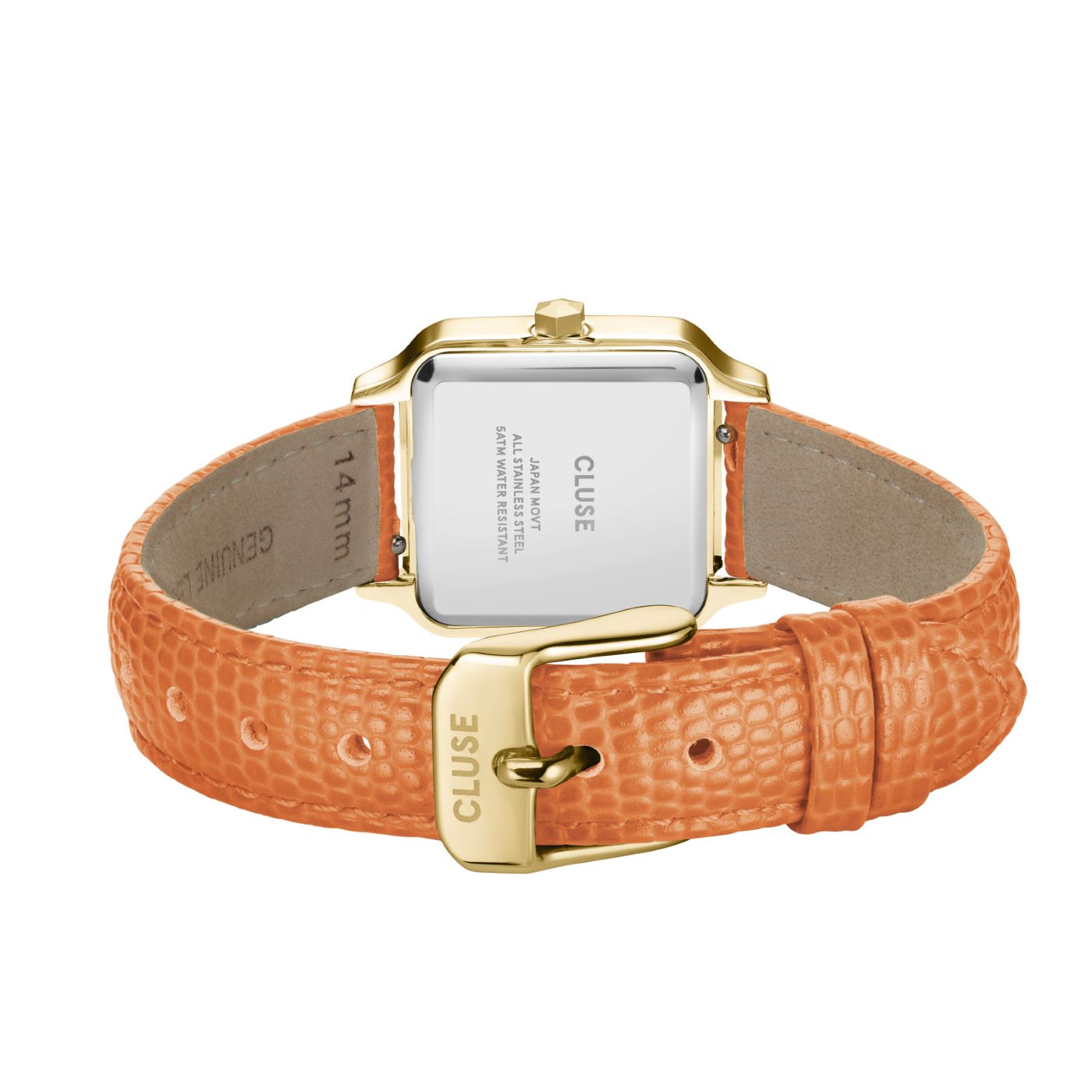 Cluse Gracieuse Petite Watch CW11808