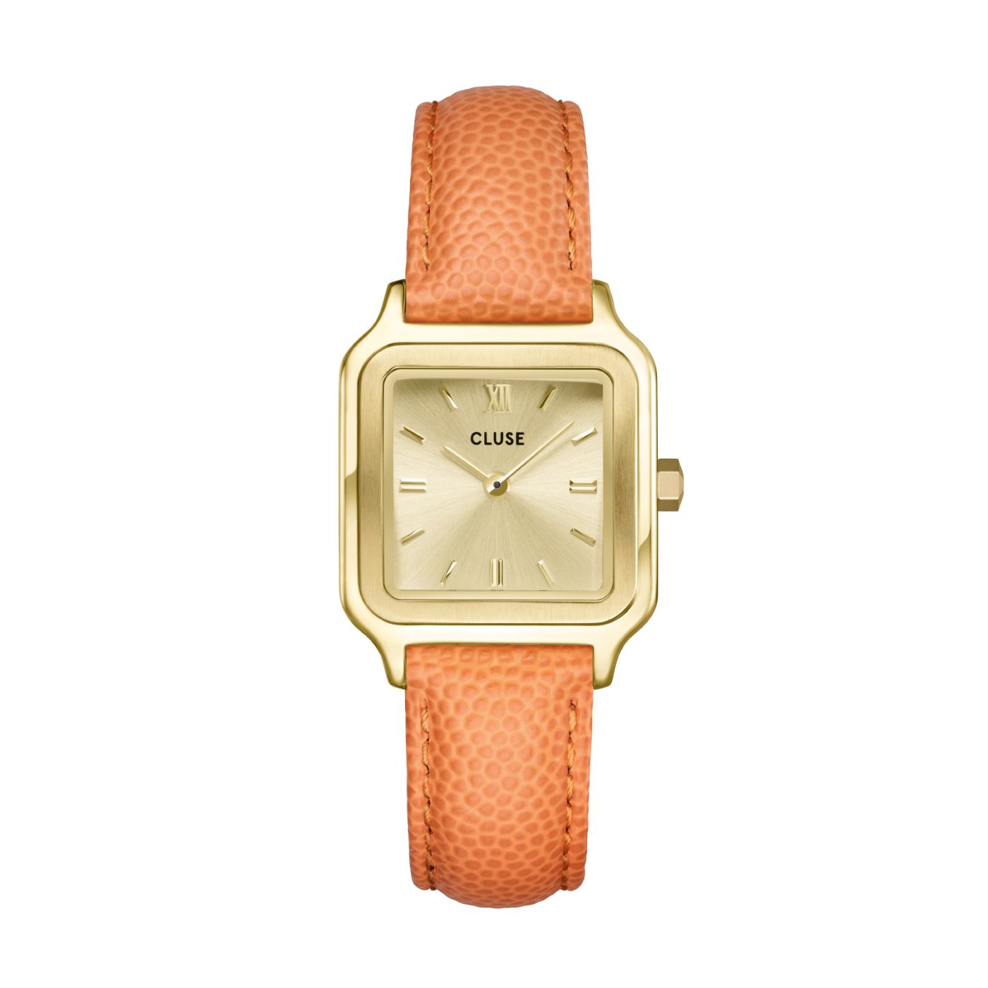 Cluse Gracieuse Petite Watch CW11808