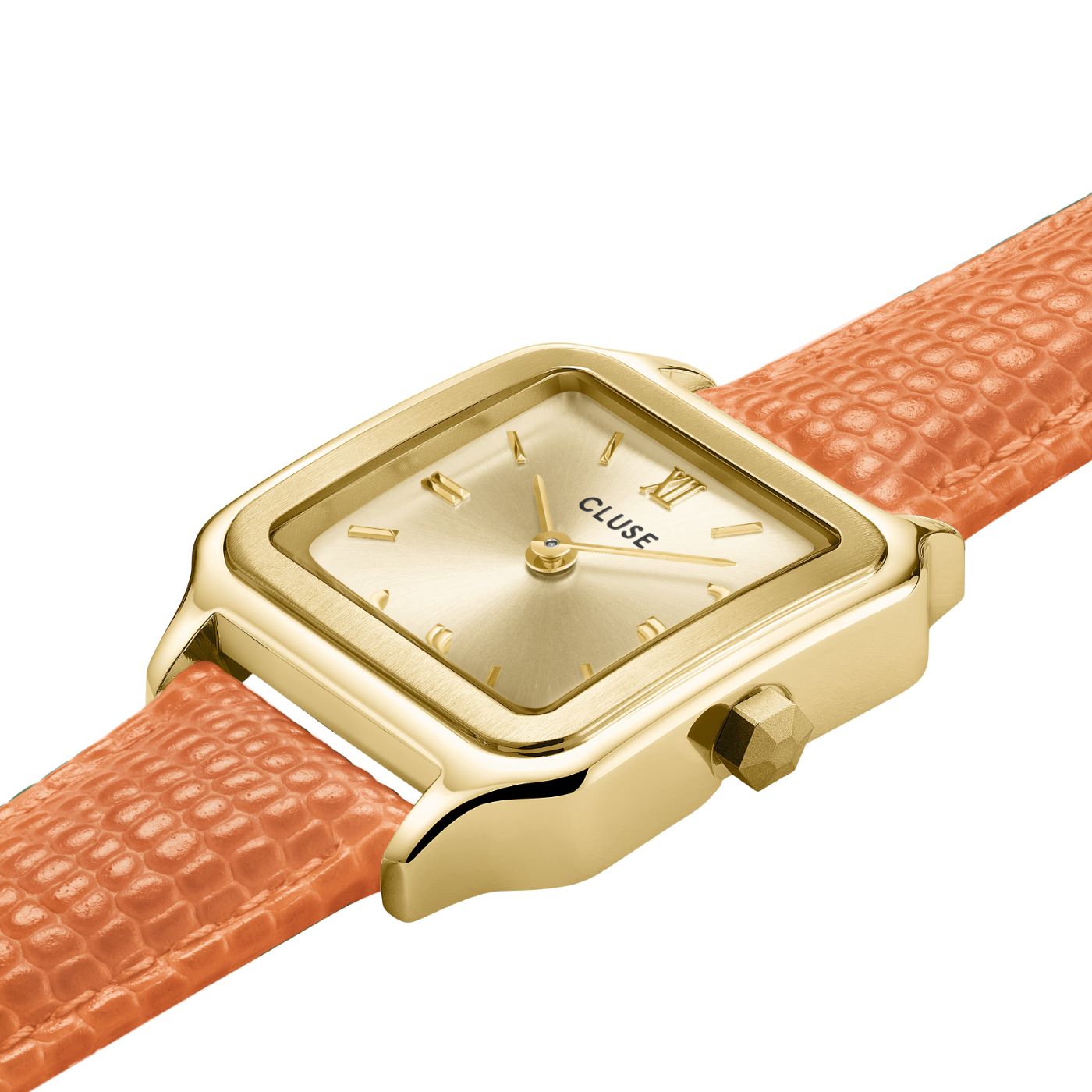 Cluse Gracieuse Petite Watch CW11808